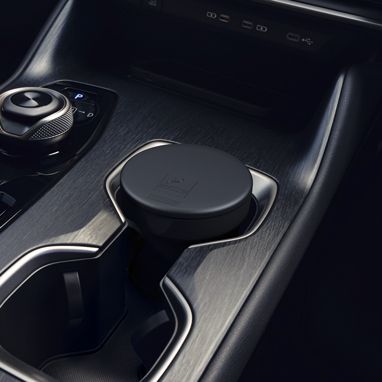 Σταχτοδοχείο Lexus RZ