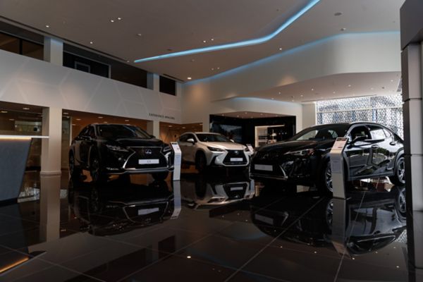 Lexus Showroom