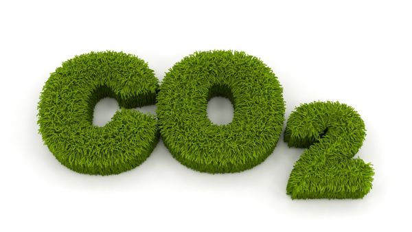 Die grüne CO2-Darstellung aus Gras verweist auf die umweltabhängige Berechnungsgrundlage der Kfz-Steuer.