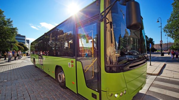 Ein grüner Linienbus steht an einer Haltestelle in der Stadt und symbolisiert Fahrzeuge, die mit der Führerscheinklasse D gefahren werden dürfen.