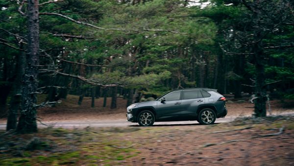 RAV4 PHEV im Wald