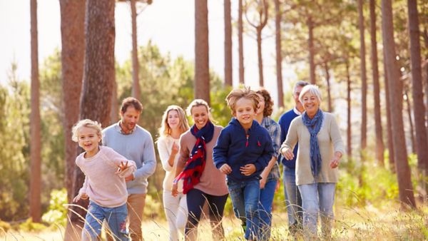 Eine bunt gemischte Gruppe von sieben Personen, darunter Kinder und Erwachsene, rennt fröhlich durch einen sonnendurchfluteten Wald mit hohen Bäumen im Hintergrund und vermittelt Zusammengehörigkeit und Spaß.