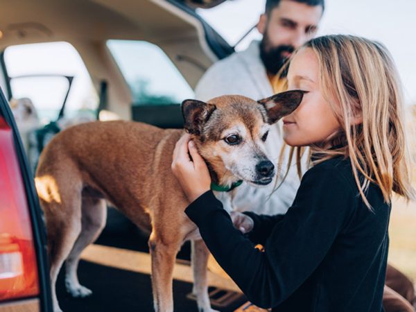 Ein junges Mädchen umarmt sanft einen kleinen braunen Hund in einem Kofferraum, während ein erwachsener Mann zuschaut, wodurch eine warme, familiäre Szene entsteht.