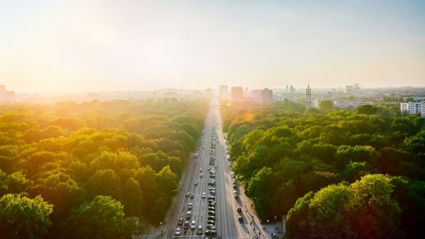 Luftaufnahme einer von Bäumen gesäumten Straße bei Sonnenuntergang, mit Autos, die die Straße entlangfahren, und städtischen Gebäuden in der Ferne.