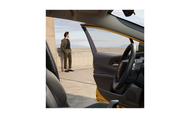 Eine Person steht vor einem Auto mit geöffneter Tür und blickt auf eine weite Landschaft.