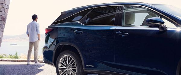 Ein Mann steht neben einem geparkten Lexus und blickt auf die Küste