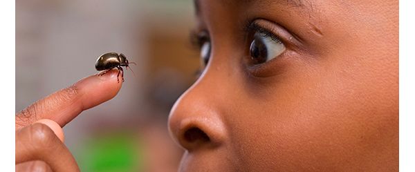 Wir ermuntern Kinder dazu, ihre Umwelt zu entdecken