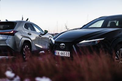 Lexus model