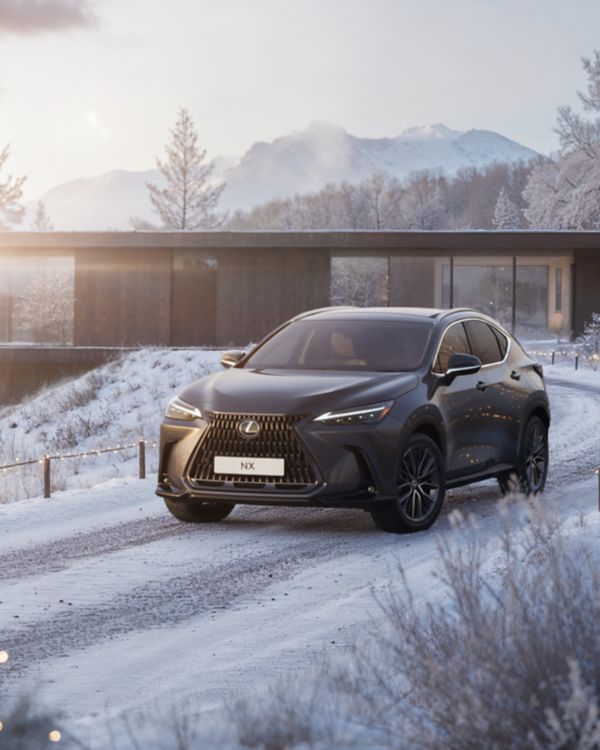 Lexus, exterieur, nx, banden