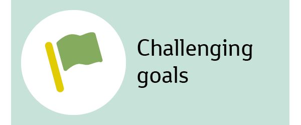 Challenging goals
