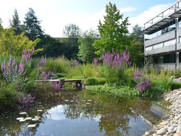 wide view of a garden for Toyota head office