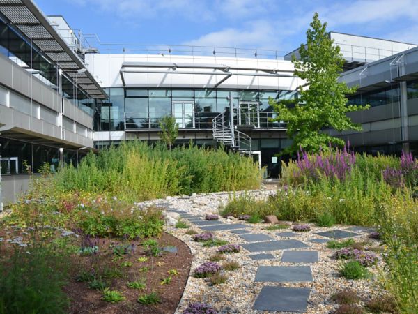 the garden of the main Toyota Offices