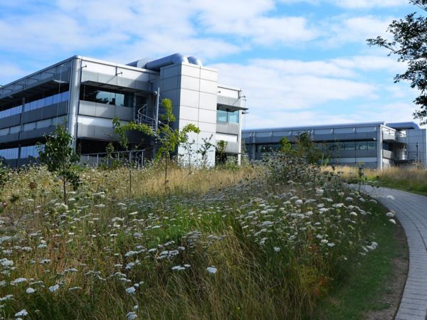 Outside of the Toyota head office with a garden