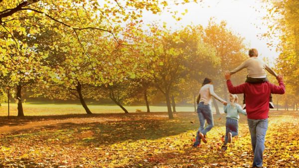 family walking through a forest - Toyota Rewarding Recycling