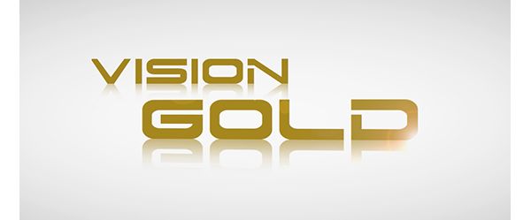 Vision Gold Logo