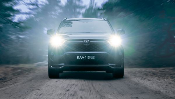 RAV 4 im Wald