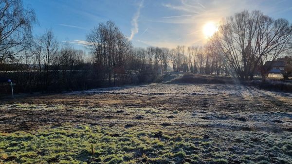 TPCE forest_Other images - 2