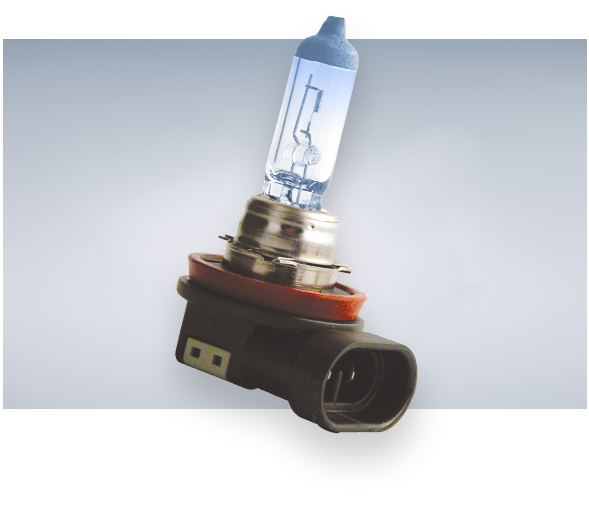 Żarówki specjalne H11 12V 55W 2 szt.