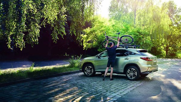 The Lexus RX