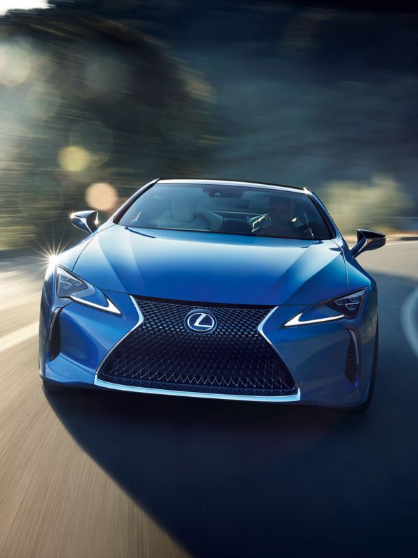 NY LEXUS STRUCTURAL BLUE