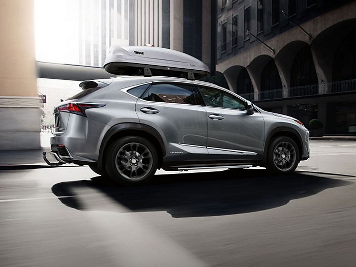 Lexus nx roof box hot sale