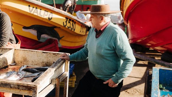 man looking at fish