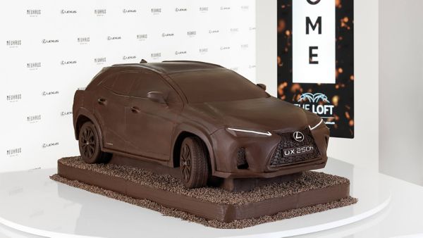 EDITION CHOCOLAT UX 250h