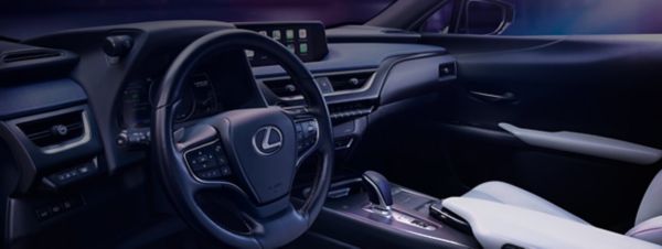 The Lexus interior