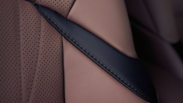 2021-lexus-es-model-new-provocative-elegance-colour-scheme-1920x1080