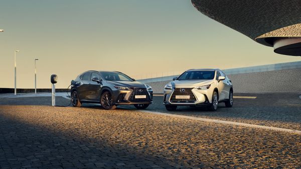 Two parked Lexus NX's