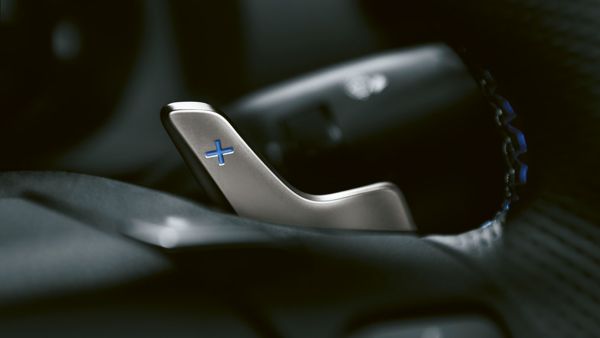 The Lexus RC F's paddle shifter