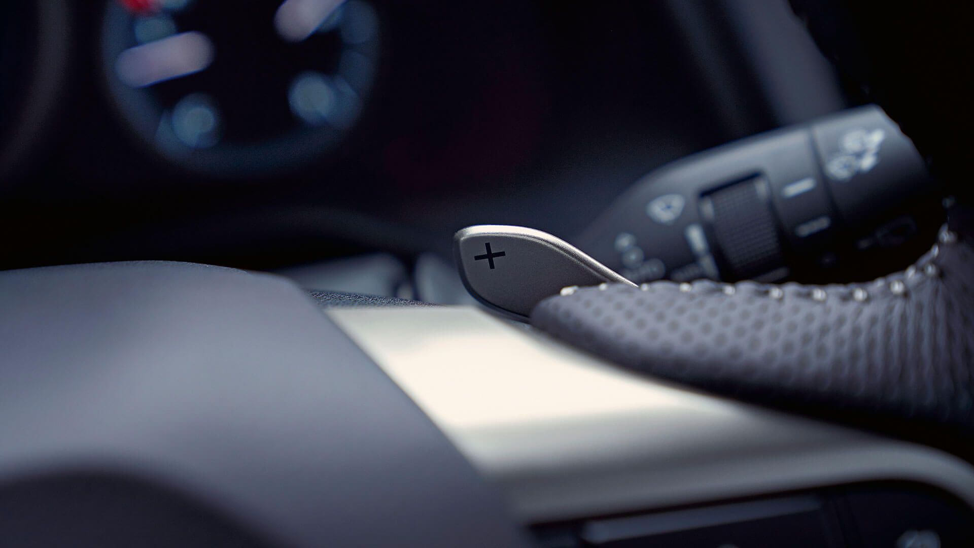 Lexus RX L side stick