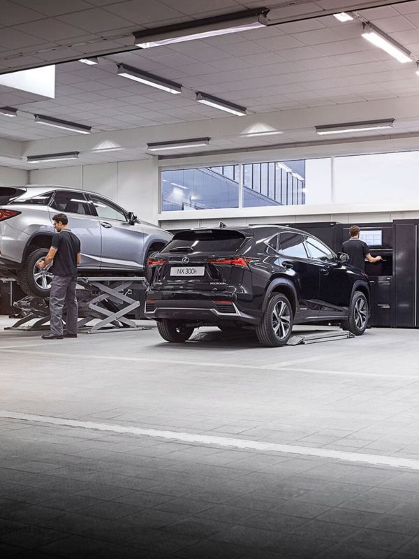 people working in a Lexus garage
