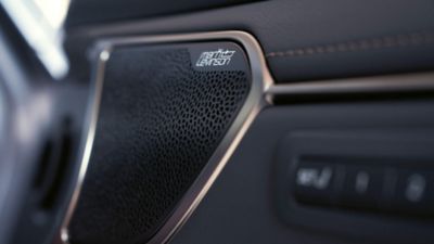 SOUNDSYSTEM VON MARK LEVINSON
