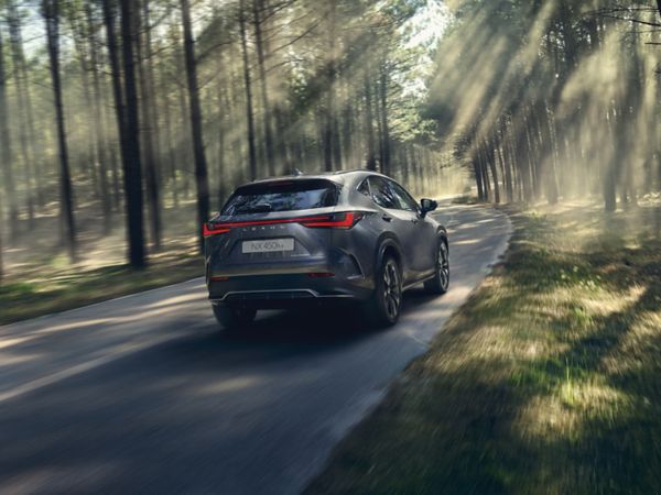 Lexus NX driving in a rural location