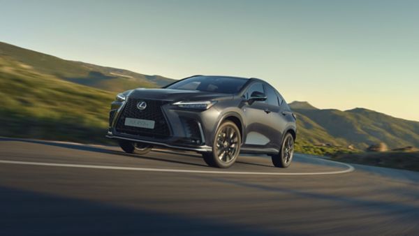 Un Lexus NX 450h+ roulant sur une route de campagne à côté d'une forêt.