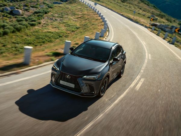 Lexus NX driving in a rural location