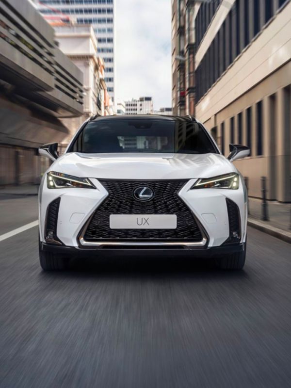 Hybrid SUV: Lexus UX 250h fährt auf der Straße