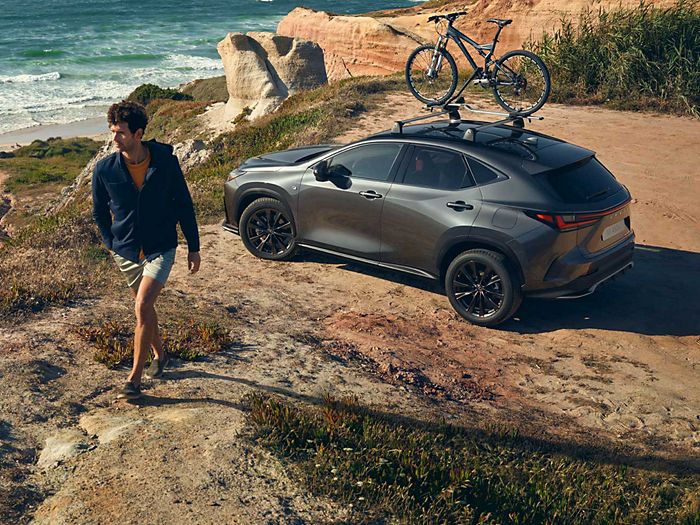 Lexus nx deals bike rack