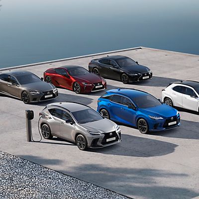 3D-Kennzeichen - Innen & Aussen - Lexus Owners Club Europe