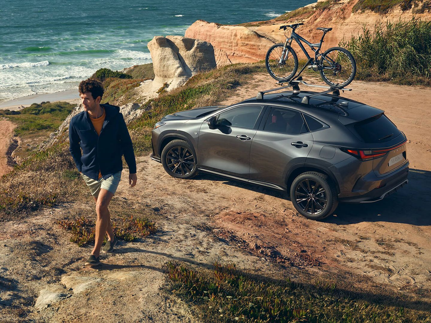 Lexus NX parked on a coastline