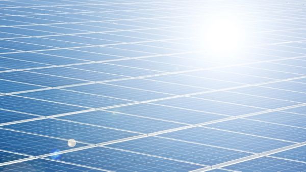 Mehrere Solarzellen liegen in Reihen nebeneinander und reflektieren das Sonnenlicht.