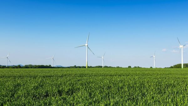 Mehrere Windkrafträder stehen auf einer grünen Rasenfläche unter strahlend blauem Himmel.