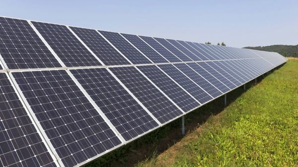 Eine Reihe an Solarzellen, die zur Sonne hin ausgerichtet sind, auf grünem Rasen unter blauem Himmel.