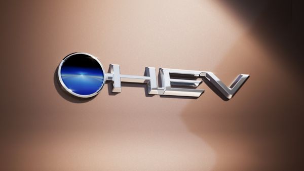 Nahaufnahme eines HEV-Logo für Hybrid-Elektrofahrzeuge auf brauner Karrosserie.