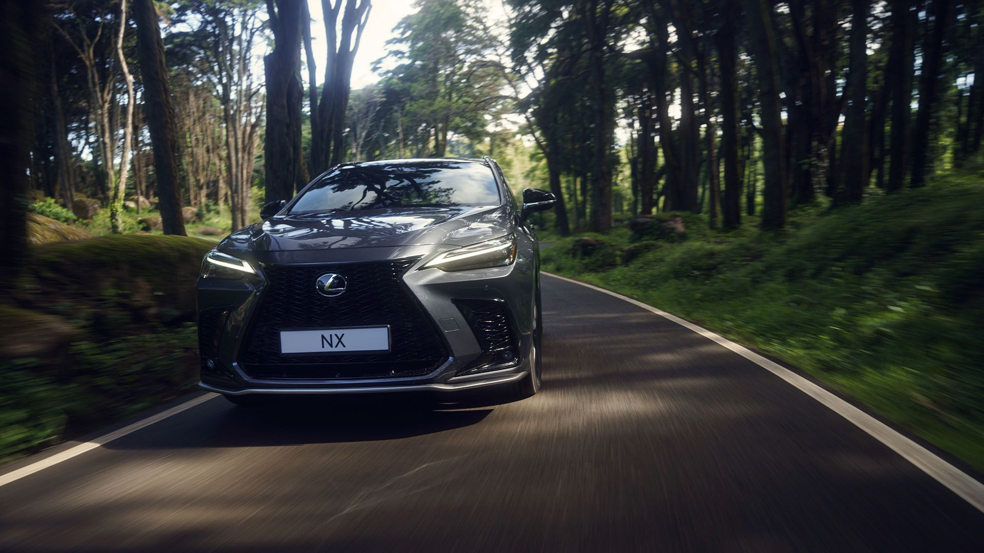 A Lexus NX driving through a forest