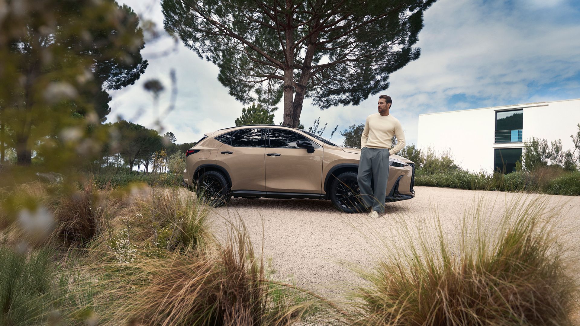 A parked Lexus RX 450h+