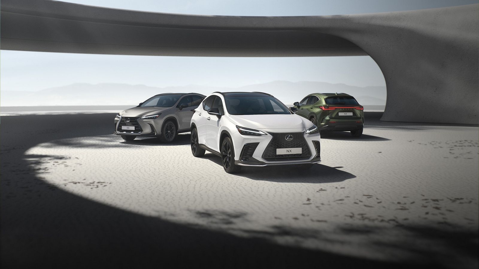 3 egparkeerde Lexus NX