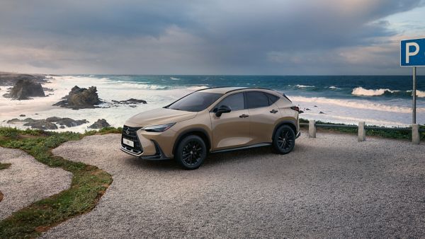 Ein brauner Lexus NX, geparkt an einer malerischen Küstenlandschaft, mit Wellen, die gegen das Ufer schlagen, und einem „P“-Parkschild in der Nähe.