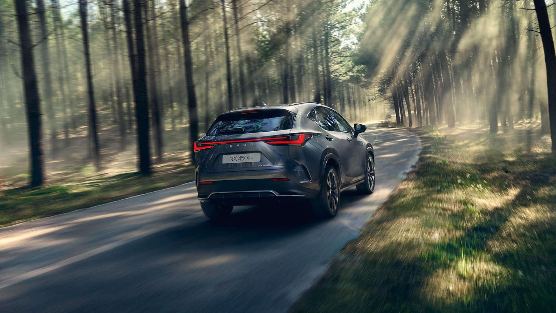 NX on the winter road